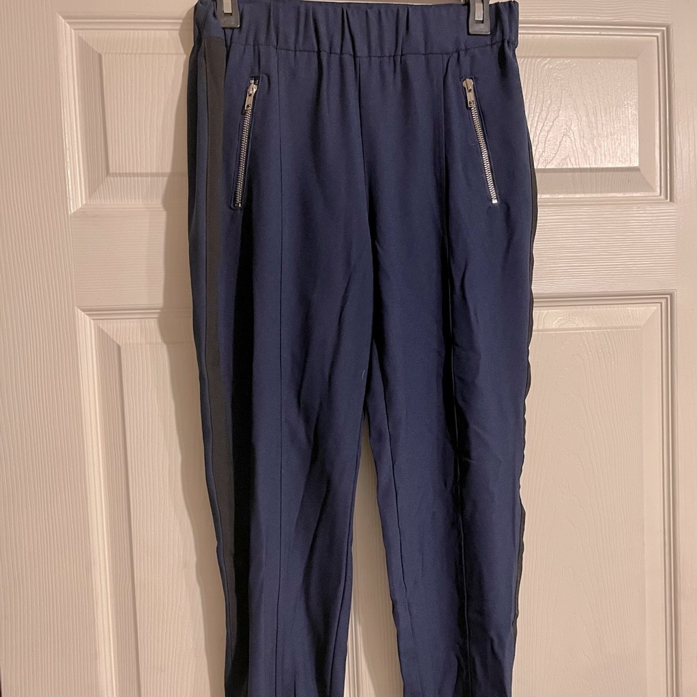 navy blue trousers/jogger